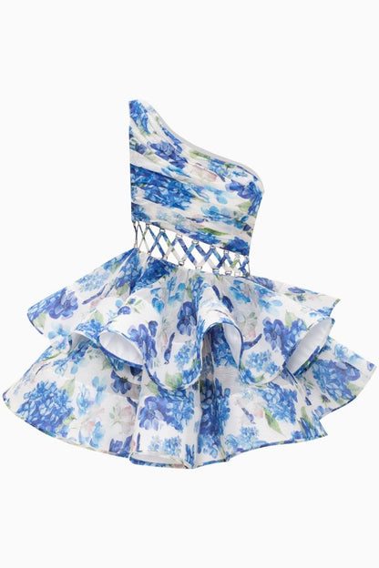Viridiana | Floral-Print One-Shoulder Chiffon Mini Dress