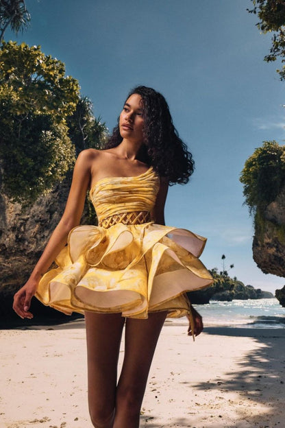 Viridiana | Floral-Print One-Shoulder Chiffon Mini Dress