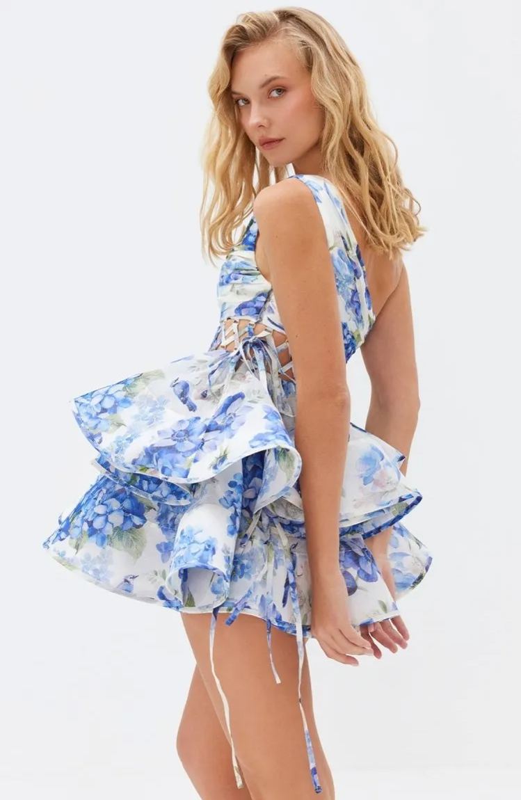 Viridiana | Floral-Print One-Shoulder Chiffon Mini Dress